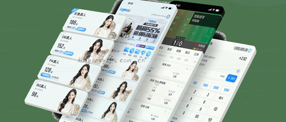 隐私政策与用户权益说明