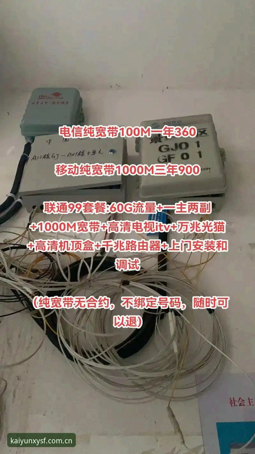 本季优先版LOGIN中国 老用户实测:本季优先版LOGIN中国入口的下载与登录心得
